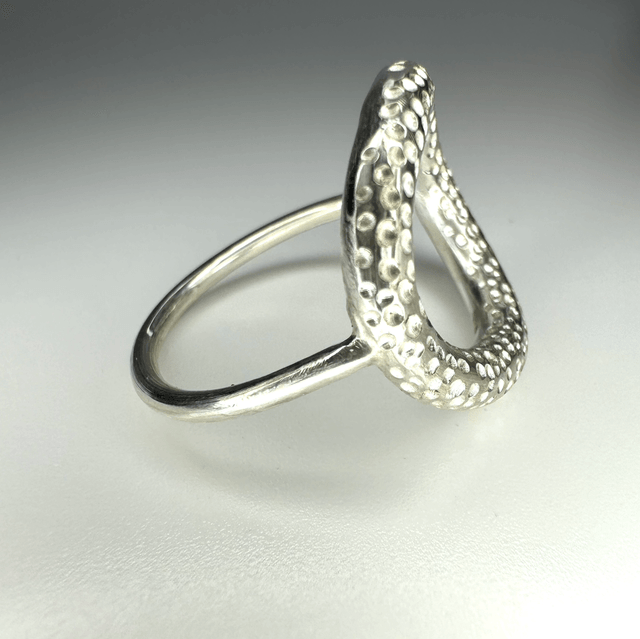 Double loop ring