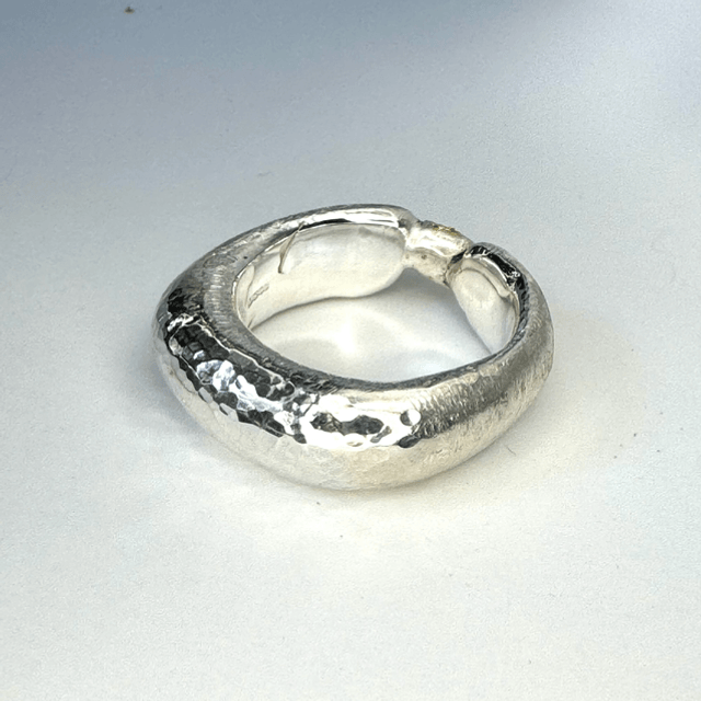 Moment in time ring