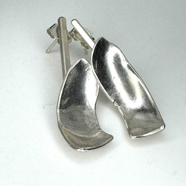 Dried peel earrings