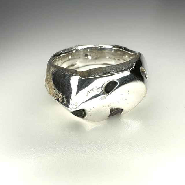 Hidden treasures ring