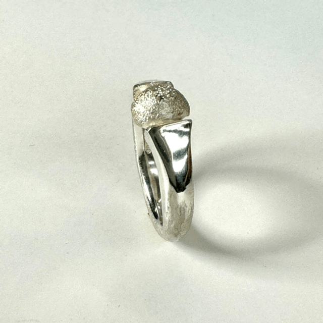 Captured moment ring