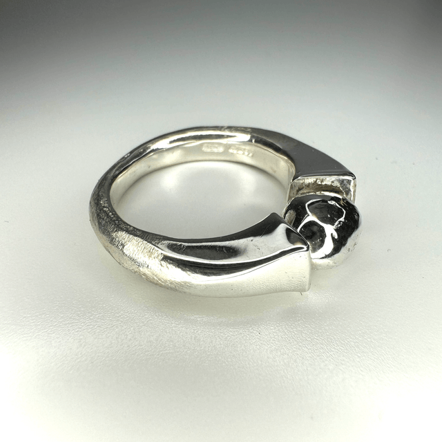 Polished captured moment ring