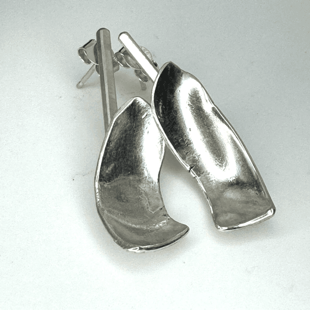 Dried peel earrings